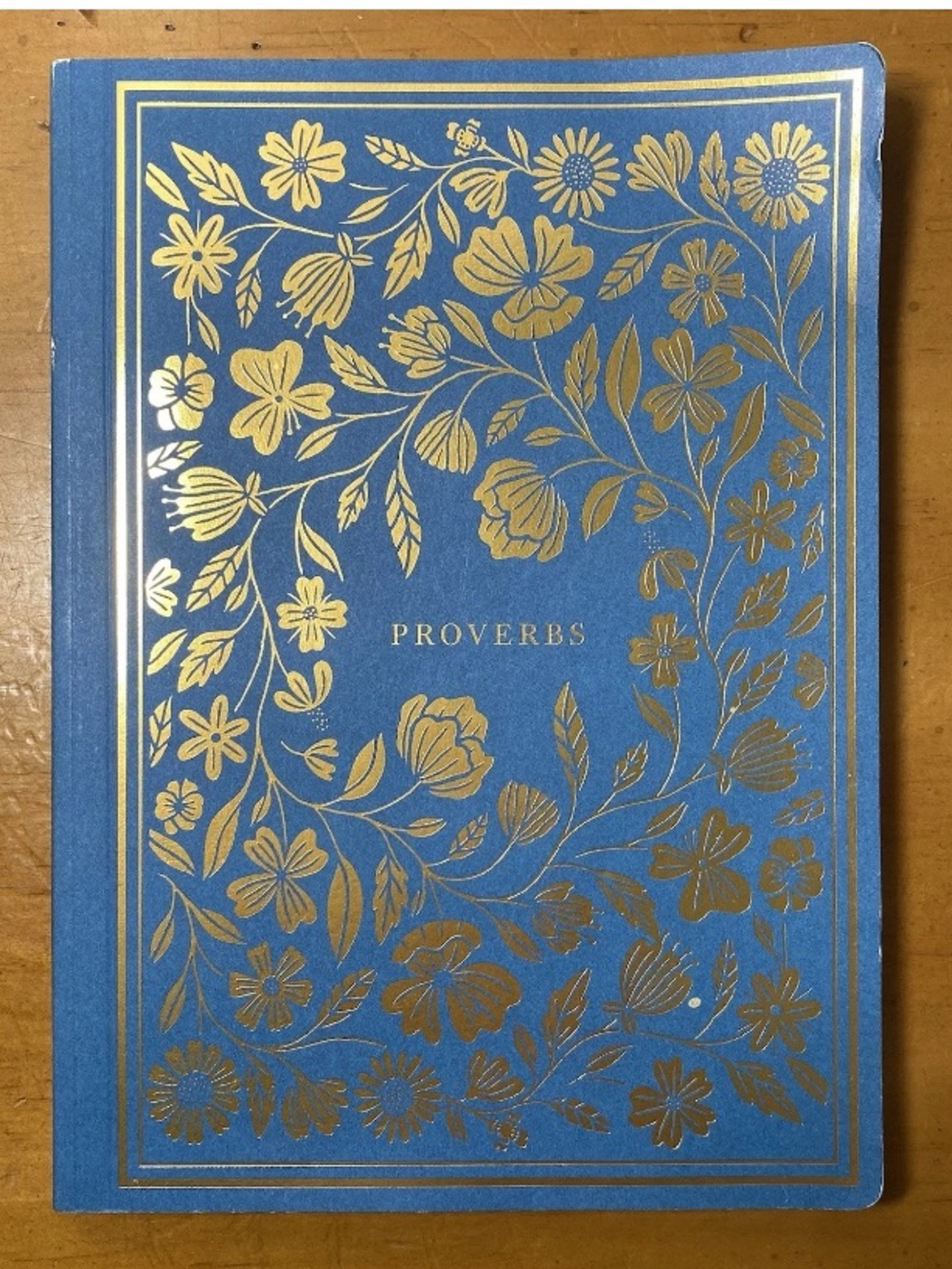 ESV Illuminated Scripture Journal Proverbs Bible Paperback Gold Blue Crossway